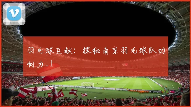 羽毛球巨献：探秘南京羽毛球队的耐力_1