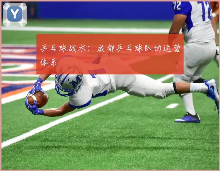 乒乓球战术：成都乒乓球队的运营体系