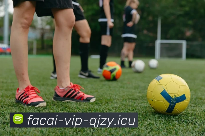 星空体育平台生态图