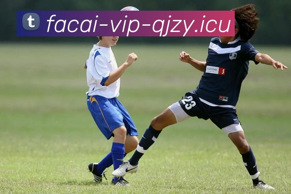 星空体育APP 封面图